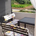 Maslina * Žuljana