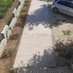 Maslina * Žuljana