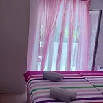 Maslina * Žuljana