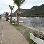 Maslina * Žuljana
