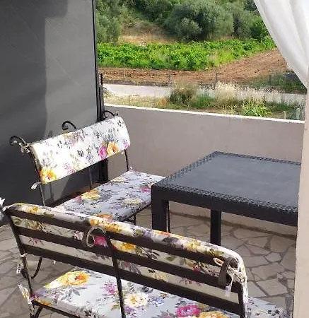 Maslina * Žuljana