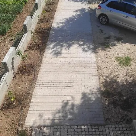 Maslina * Žuljana