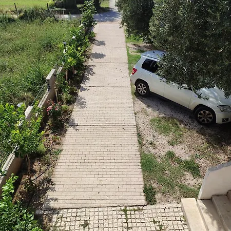 Apartment Maslina Žuljana