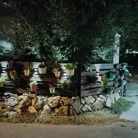 Maslina Apartmán Žuljana